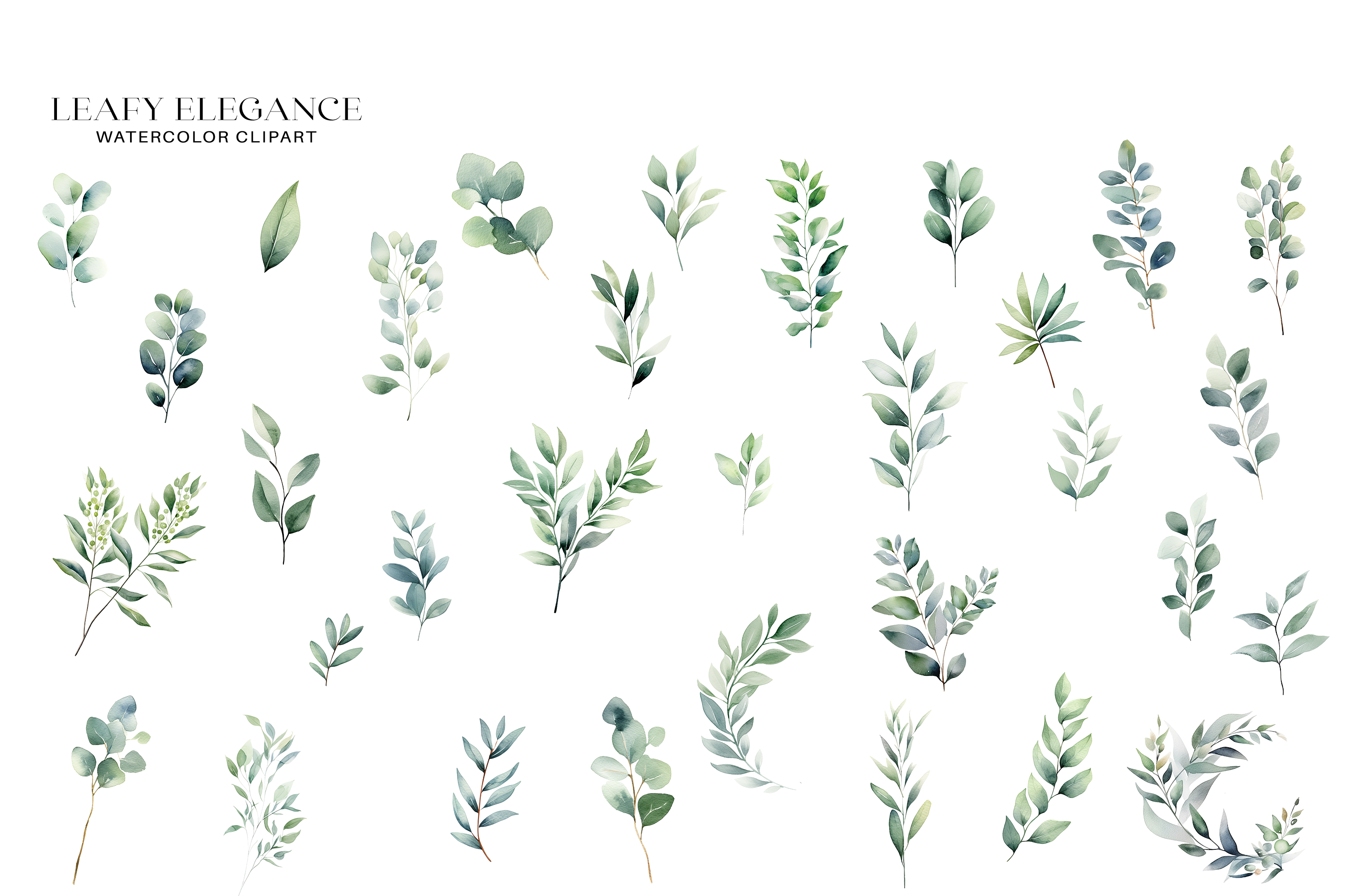 Watercolor Eucalyptus Leaf Clipart Set - photo 2