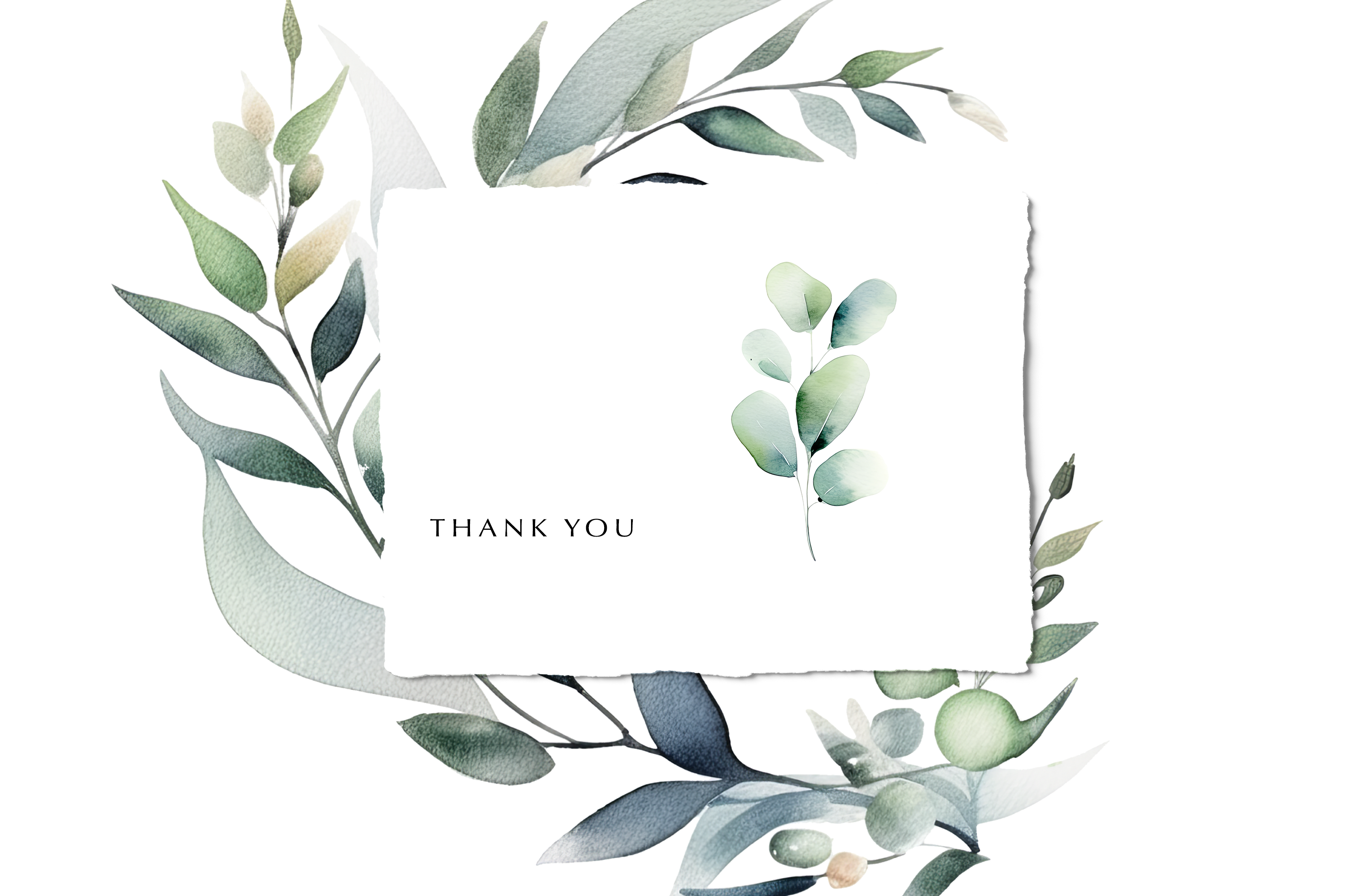 Watercolor Eucalyptus Leaf Clipart Set - photo 3