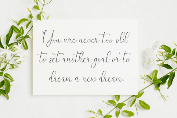 Beautiful Darling Font - Preview 2