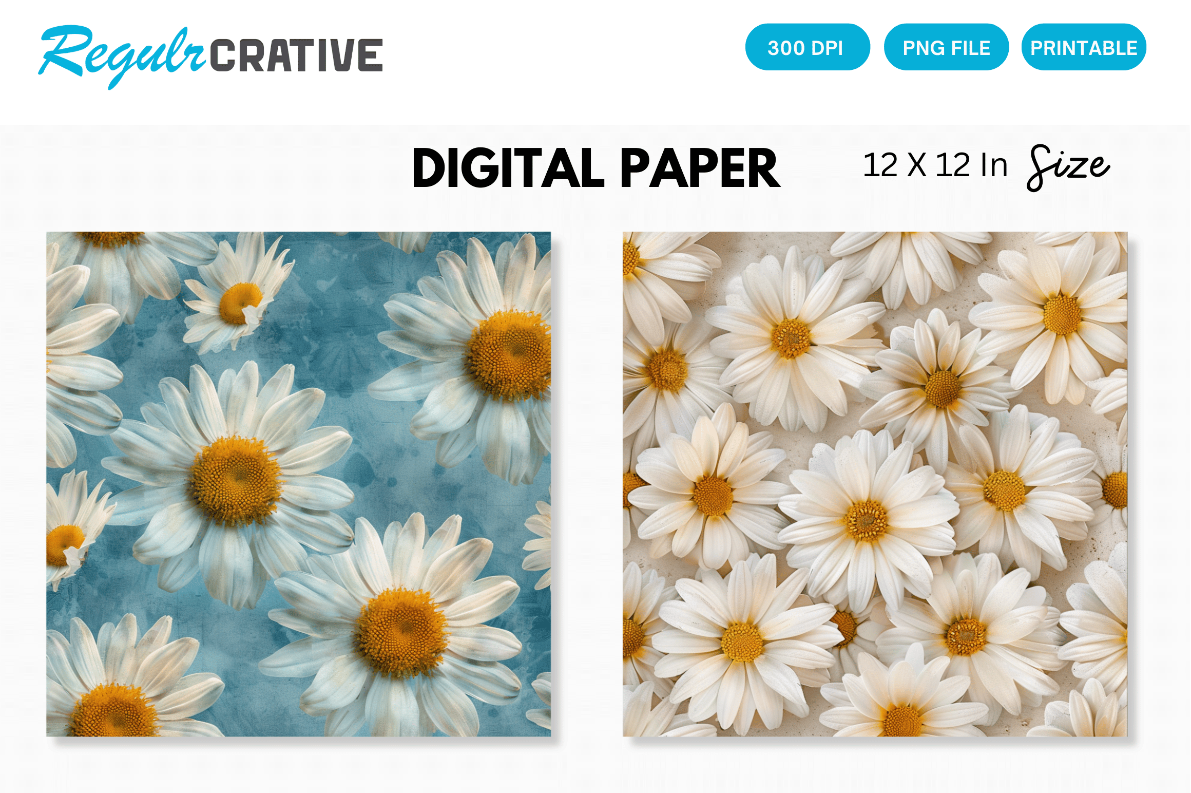 Daisy Flowers Digital Paper Graphic by Regulrcrative · Creative Fabrica