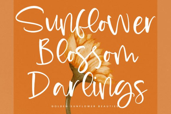 Radiant August Font PNG with transparent background - Preview 6