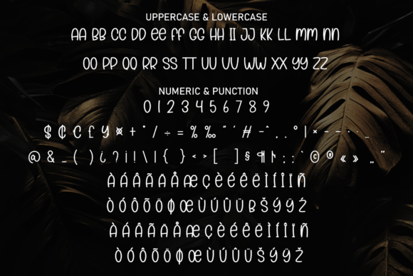 Black Sample Font - Preview 6