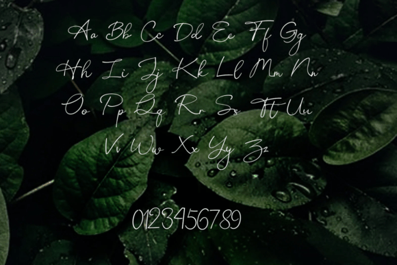 Anderson Finch Font - Preview 1
