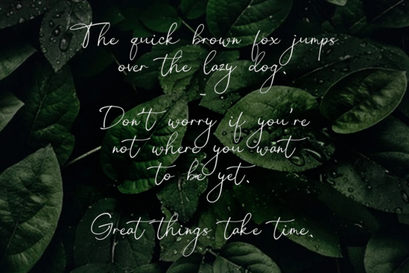 Anderson Finch Font - Preview 2