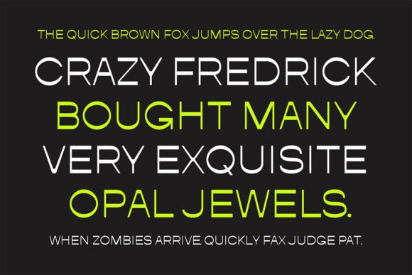 Borland Font - Preview 4