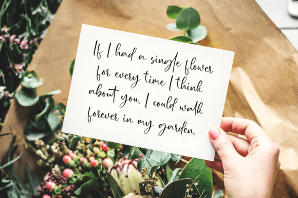 Leichester Font PNG with transparent background - Preview 6