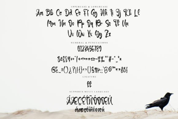 Purity Font PNG with transparent background - Preview 5