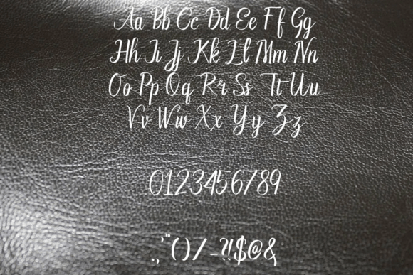 Beauchamps Font - Preview 2