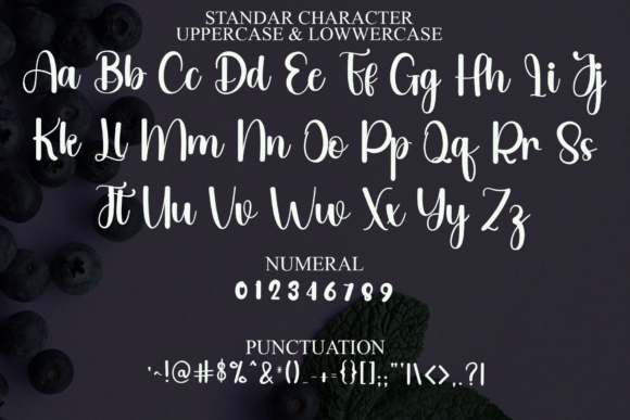 Beauty Angelica Font - Preview 2