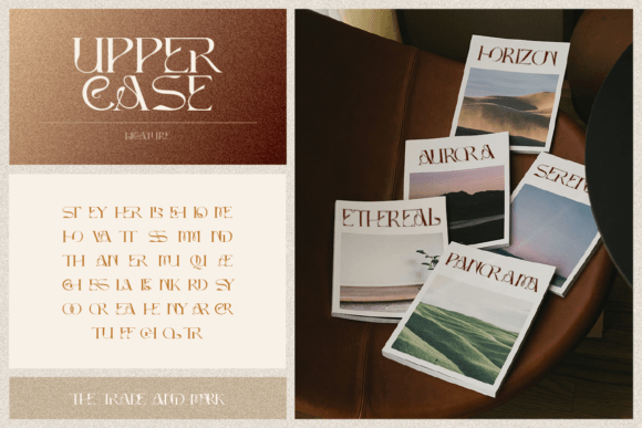 Biyari Font - Preview 6