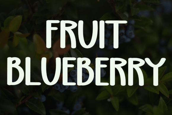 Blueberry Font - Preview 6