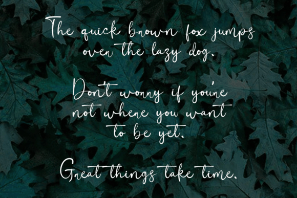 Adelaide Willow Font - Preview 1