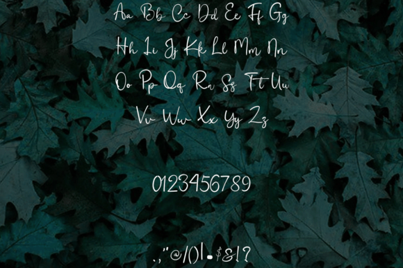 Adelaide Willow Font - Preview 2