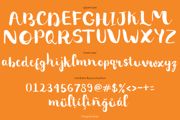 Chiagote Font - Preview 5