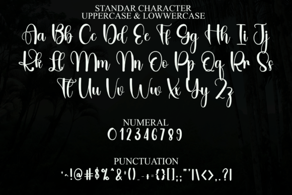 Creative Signature Font - Preview 1