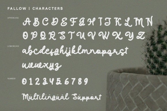 Fallow Font - Preview 3