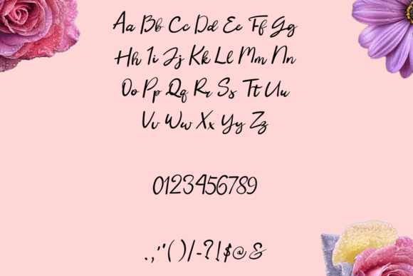 Florentina Font - Preview 2