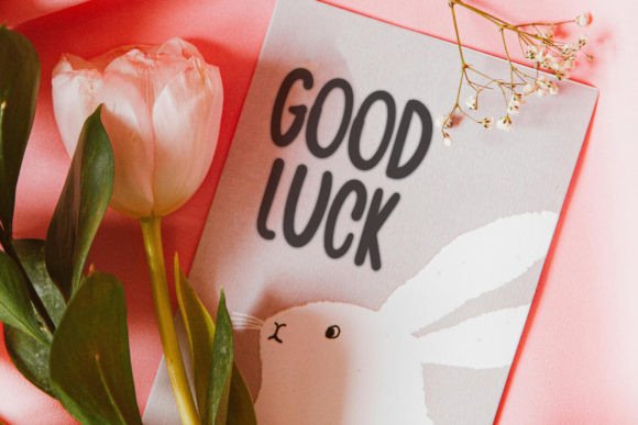 Happy Bunny Font PNG with transparent background - Preview 3