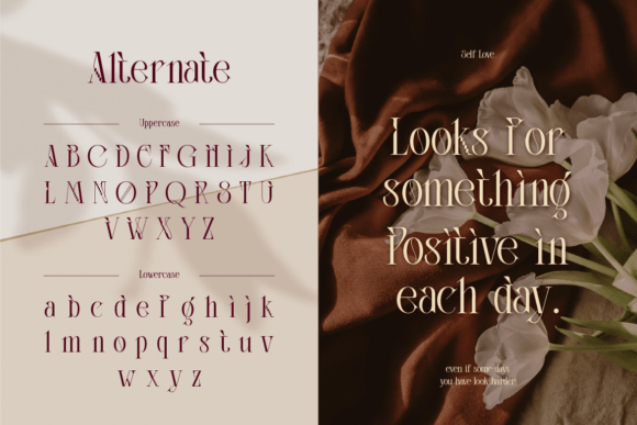 Aquilaf Font - Preview 4