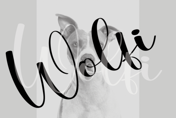 Better Autumn Font - Preview 4