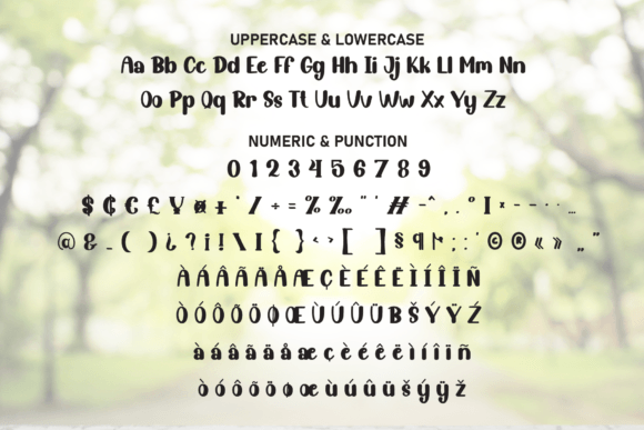 Daily Font - Preview 6