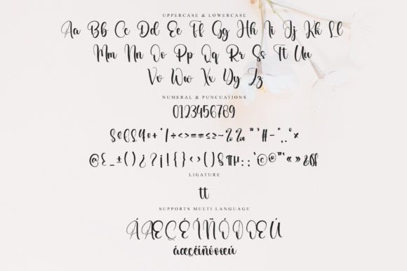 Historian Font font preview - 5
