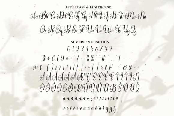 Amanda Font - Preview 5