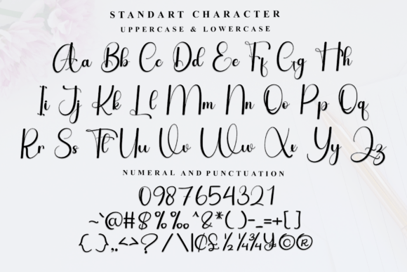 Amazing Calligraphy Font - Preview 4