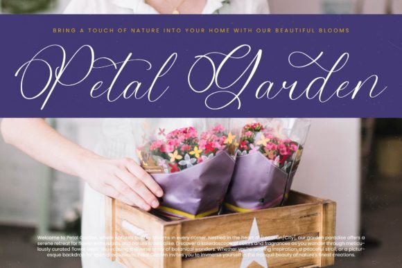 Belati Sophia Font - Preview 4