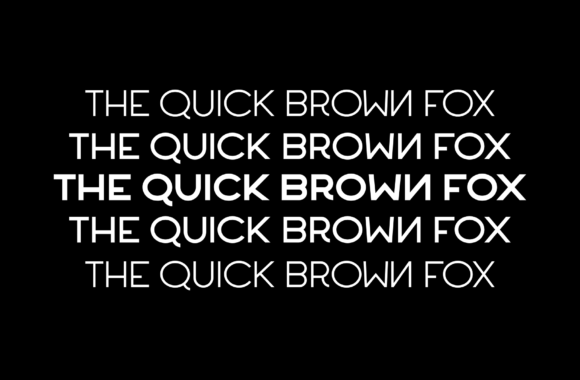 Biden Font - Preview 3