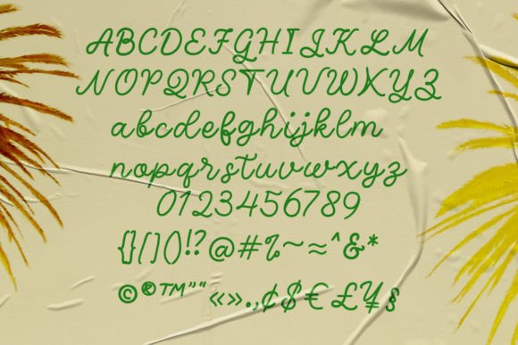 Seraphic Font PNG with transparent background - Preview 2