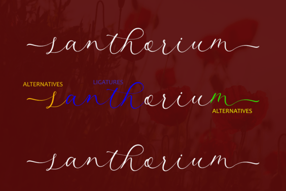 Anthosan Font - Preview 3