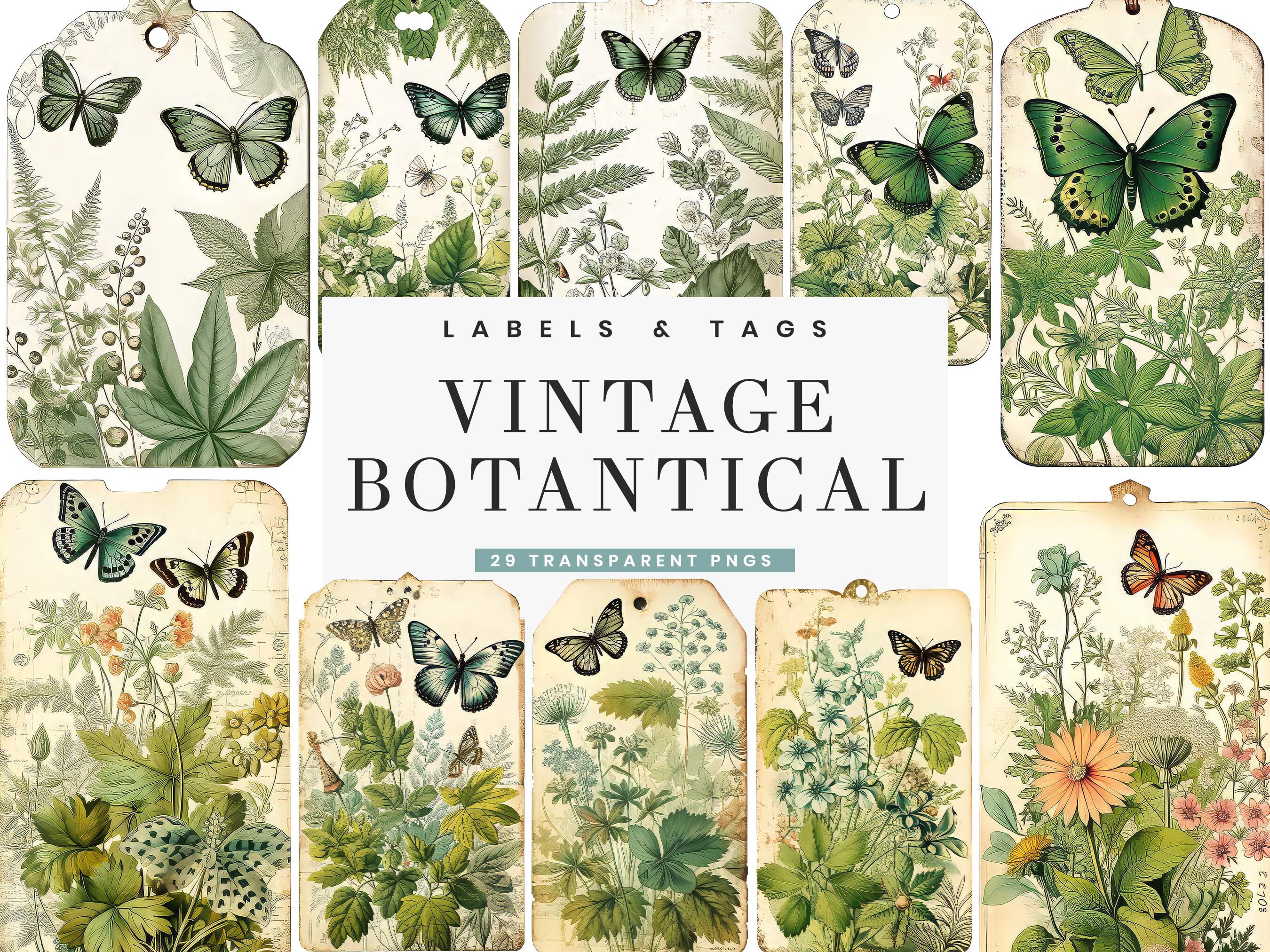 Vintage Botanical Digital Paper Graphic by busydaydesign · Creative Fabrica