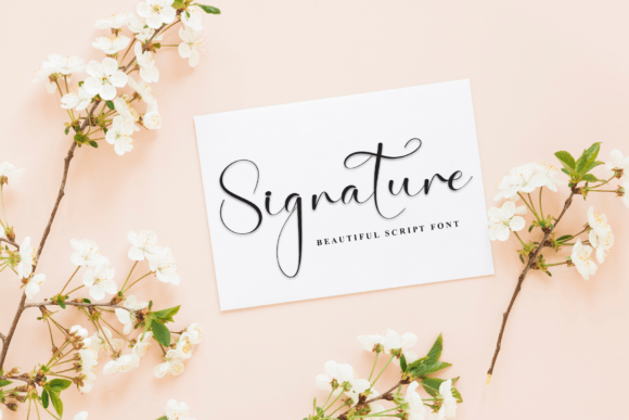Baby Script Font - Preview 4