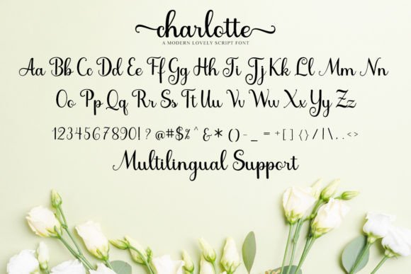 Charlotte Font - Preview 5