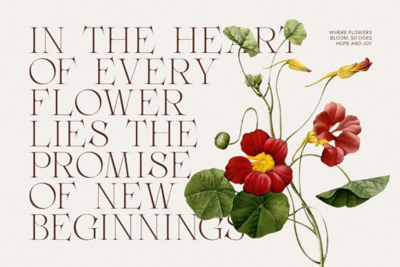 Faginta Font - Preview 4
