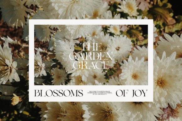 Gilkys Font - Preview 3