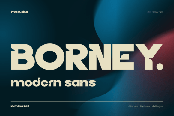 Borney Font - Preview 1