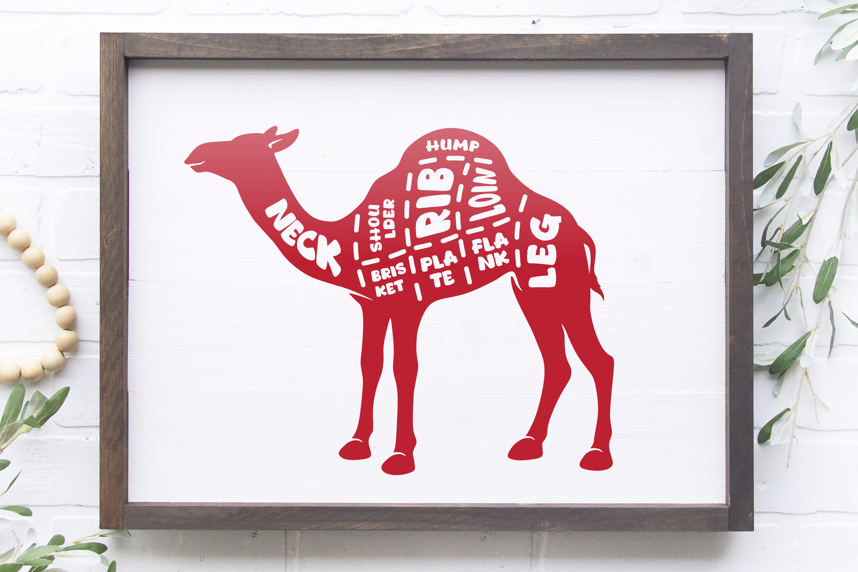 Camel Meat Cut Chart, Butcher Meat Guide Graphic by artinrhythm ...
