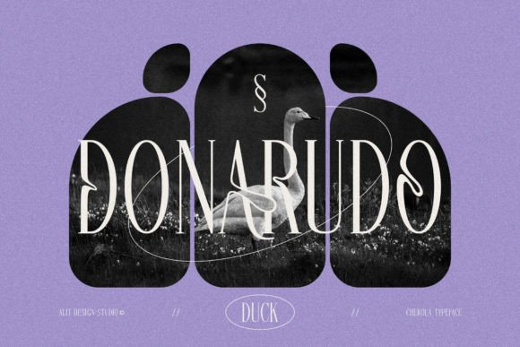 Cherola Font - Preview 3