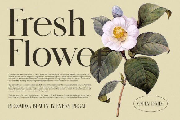 Mesko Font PNG with transparent background - Preview 4