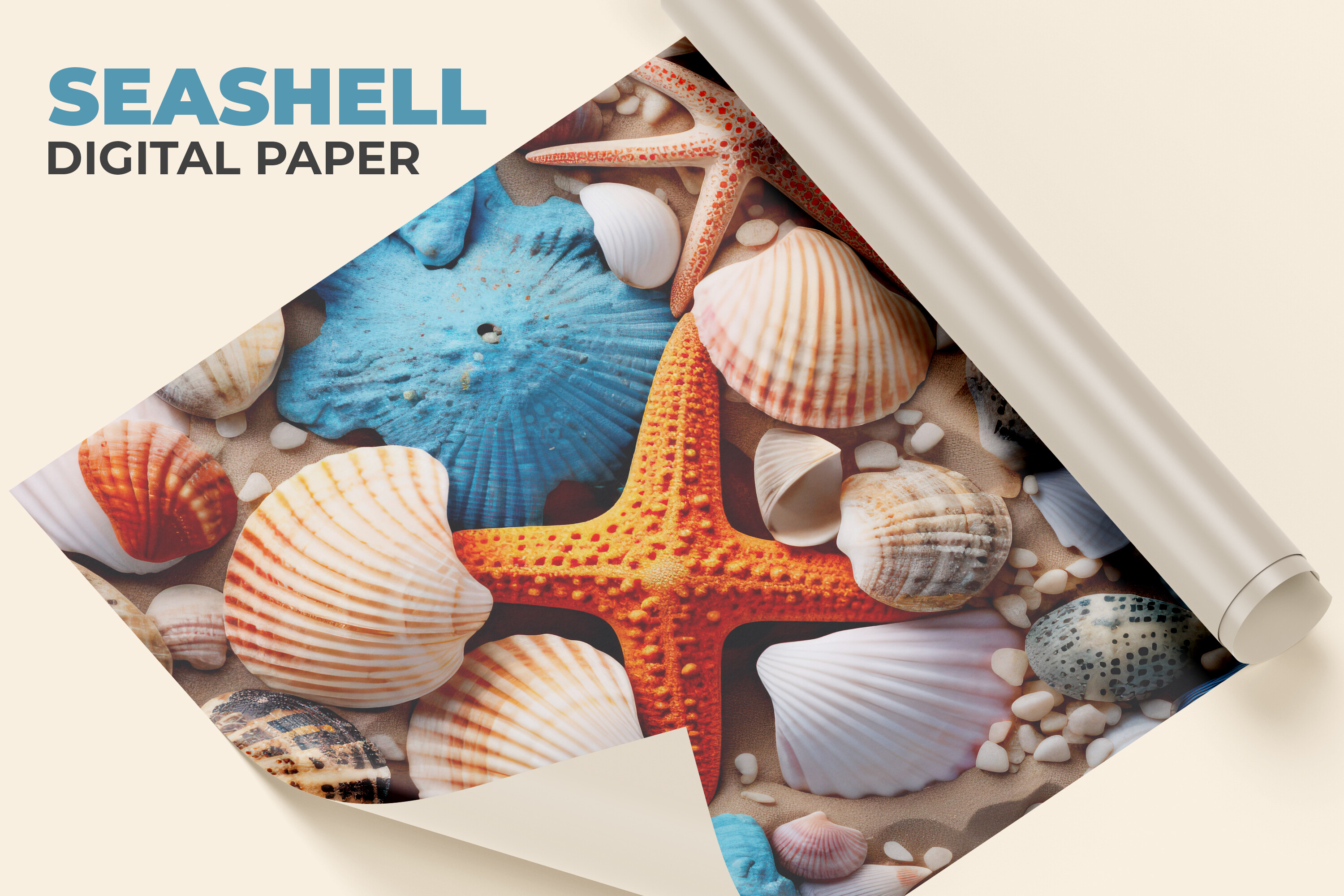 Seashell Digital Paper Graphic by Creative World · Creative Fabrica