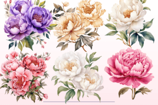 Watercolor Peonies PNG Bundle Graphic by SapphireDreamscape · Creative ...