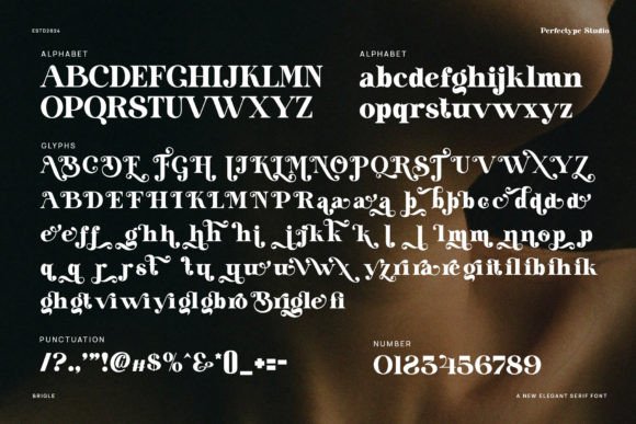 Brigle Font - Preview 6