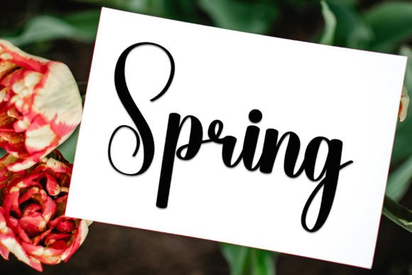 Pinkytoe Font PNG with transparent background - Preview 2
