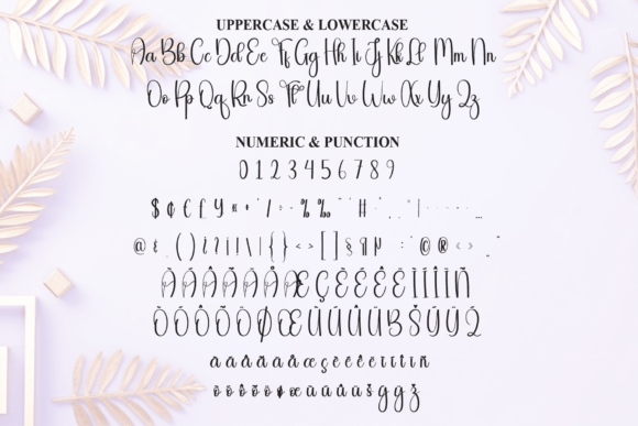Beauty Font - Preview 6