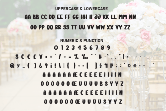 Photo Wedding Font PNG with transparent background - Preview 6
