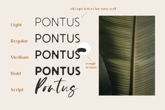 Pontus Font PNG with transparent background - Preview 3