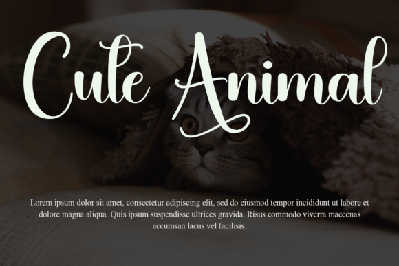 Animal Font - Preview 6