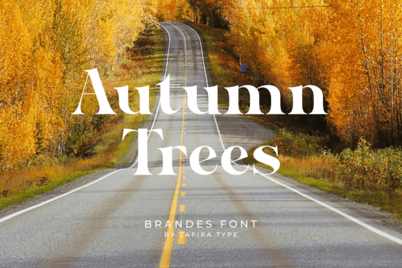 Brandes Font - Preview 3